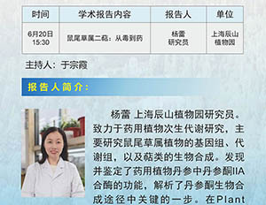 鼠尾草屬二萜：從毒到藥